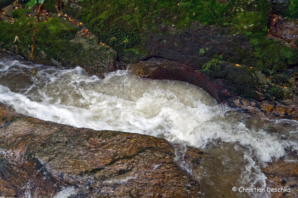 050_Naturschutzgebiet-Pesenbachtal