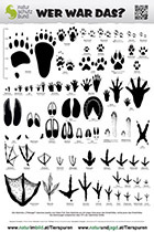 Poster_Trittsiegel_2022_A1_PRINT bei onlineprinters