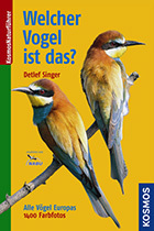 059_Voegel-an-Gebaeuden