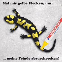 Bemalbare Feuersalamandermodelle - 25 Modelle + 5 Stifte