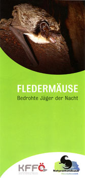 Fledermaus-Folder