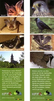 Lesezeichen - Kirchen als Lebensraum für Fledermäuse und Vögel