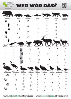 WER WAR DAS? Tierspurenposter A1